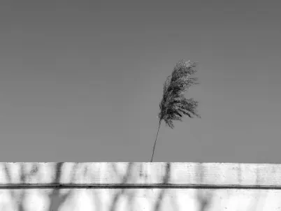 كازينو كلاسي سلوتس تطبيق الهاتف المحمول